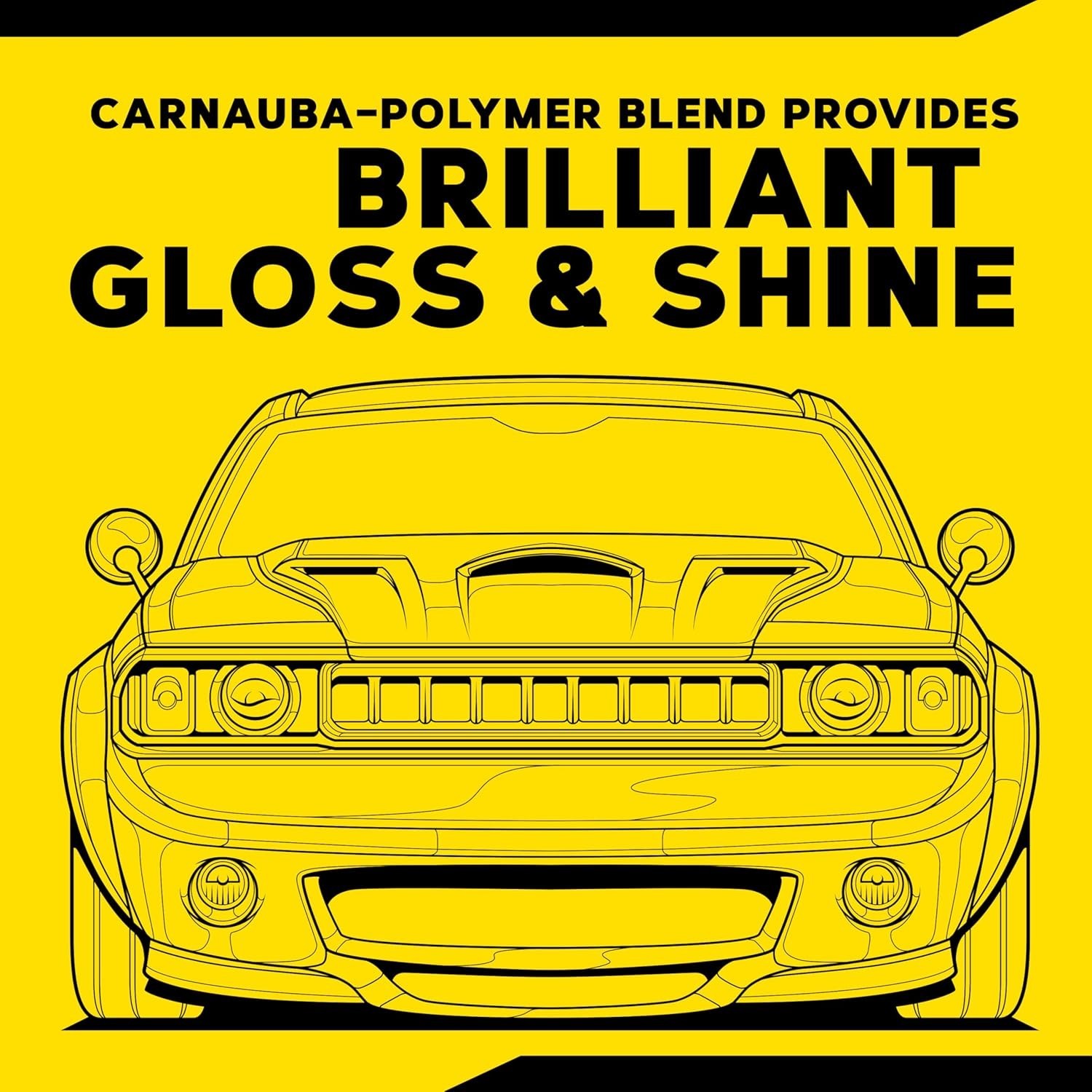 16 Oz Carnauba Plus Liquid Wax Kit with Applicator – Ultimate Paint Protection