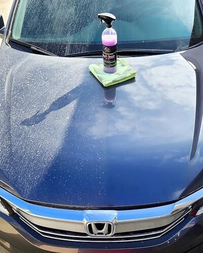 Wet N Wild WNW-16 -Street Juice Products Waterless Car Wash Detailer Spray