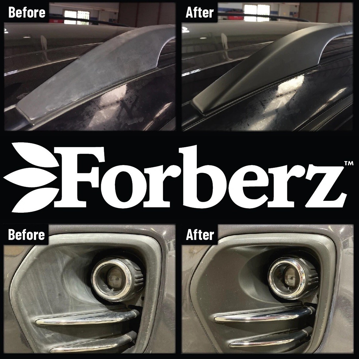 Forberz Plastic & Rubber Treatment – Remove Wax/Polish. No Silicone, No Solvent.