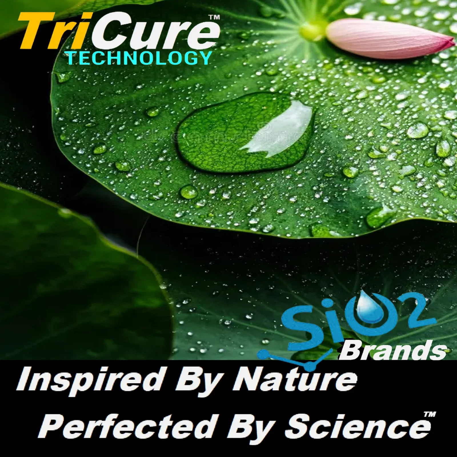 PROFESSIONAL CERAMIC TIRE SHINE & CONDITIONER 8 – OUNCE FREE APPLICATOR
