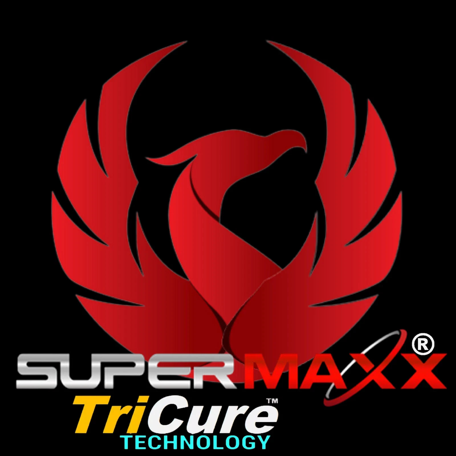 PROFESSIONAL CERAMIC TIRE SHINE & CONDITIONER 8 – OUNCE FREE APPLICATOR